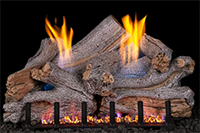 LSH Lakeshore logs.png